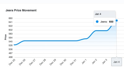 Jeera Reached from Five Hundred Per kg to Six Hundred Fifty Rupees per kg